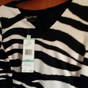 Jones New York Dresses - Zebra Print Dress Jones New York Dresses - Zebra Print Dress